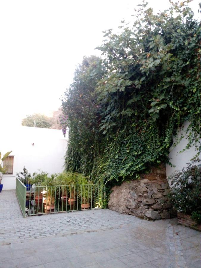 Gravina Comfort Tarifa