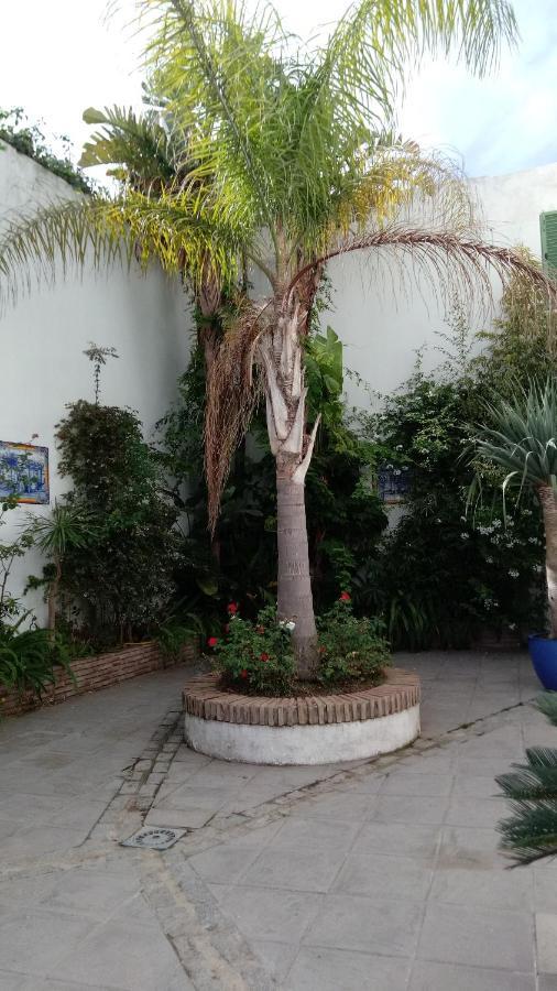 Apartamento Gravina Comfort Tarifa